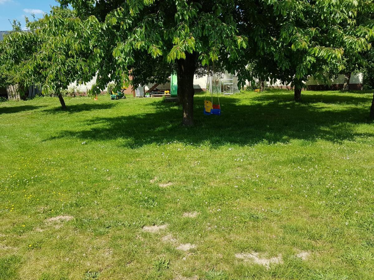 Ferienwohnung/Monteurzimmer Auf Dem Bauernhof Mörlenbach Dış mekan fotoğraf