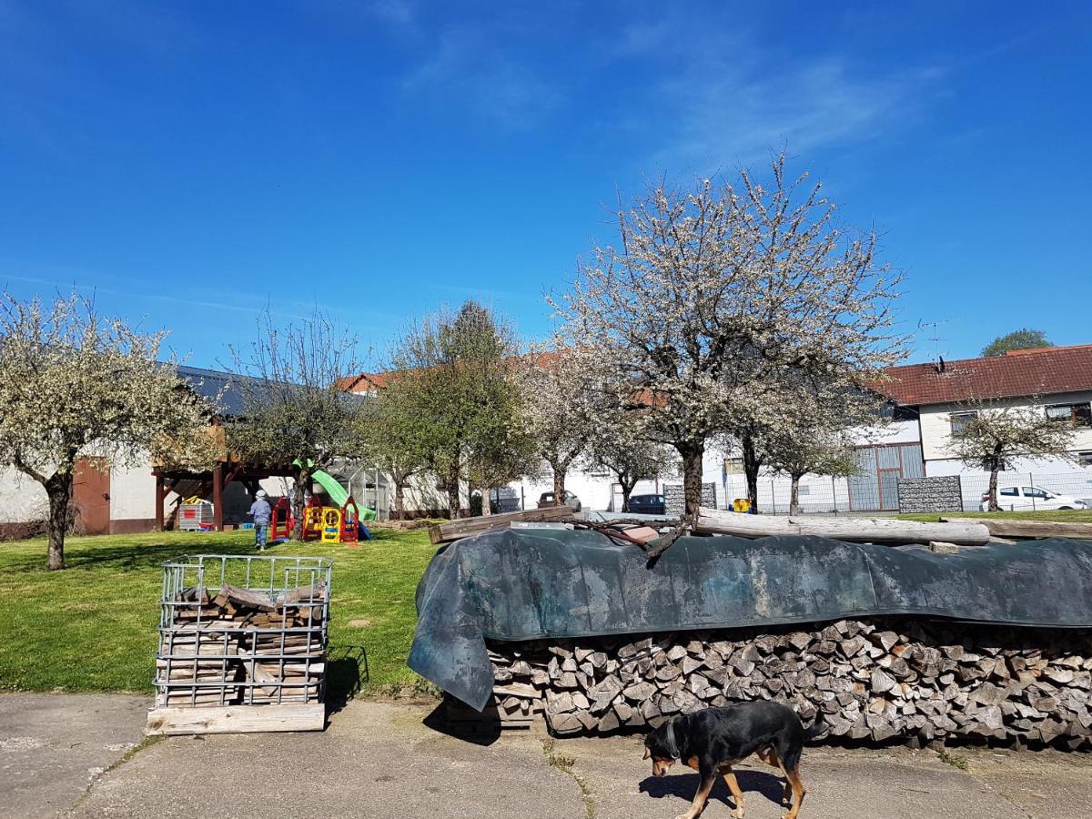 Ferienwohnung/Monteurzimmer Auf Dem Bauernhof Mörlenbach Dış mekan fotoğraf
