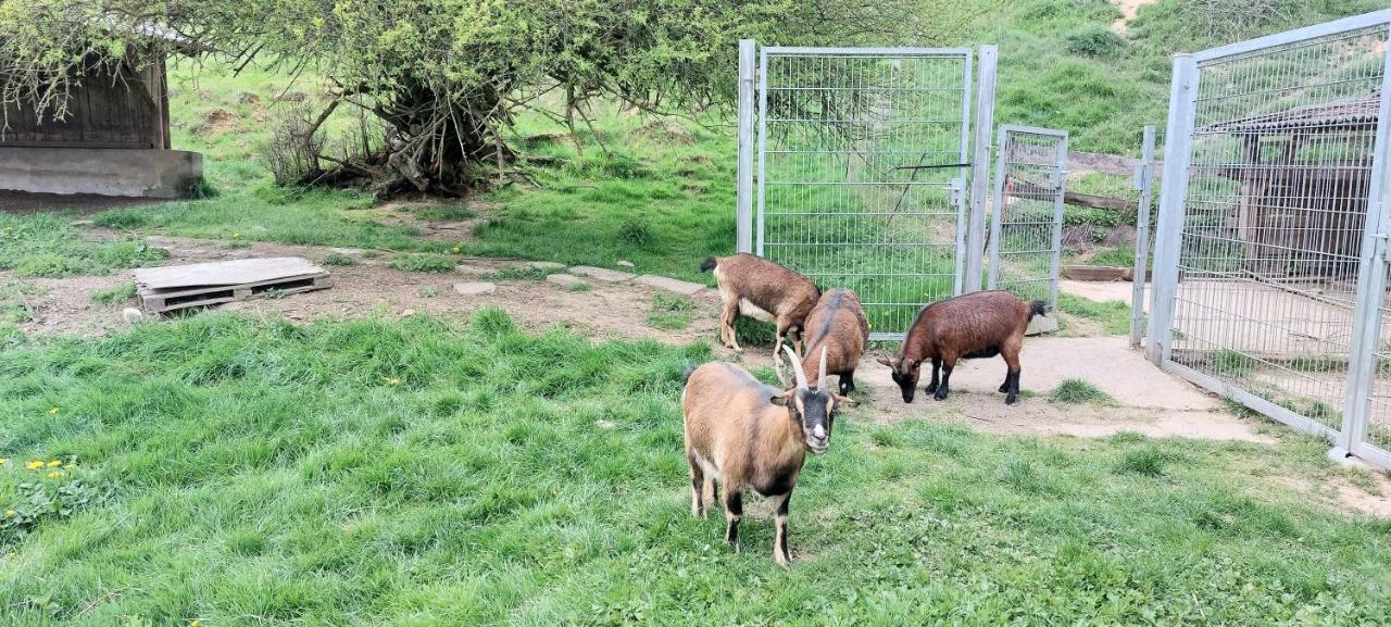 Ferienwohnung/Monteurzimmer Auf Dem Bauernhof Mörlenbach Dış mekan fotoğraf