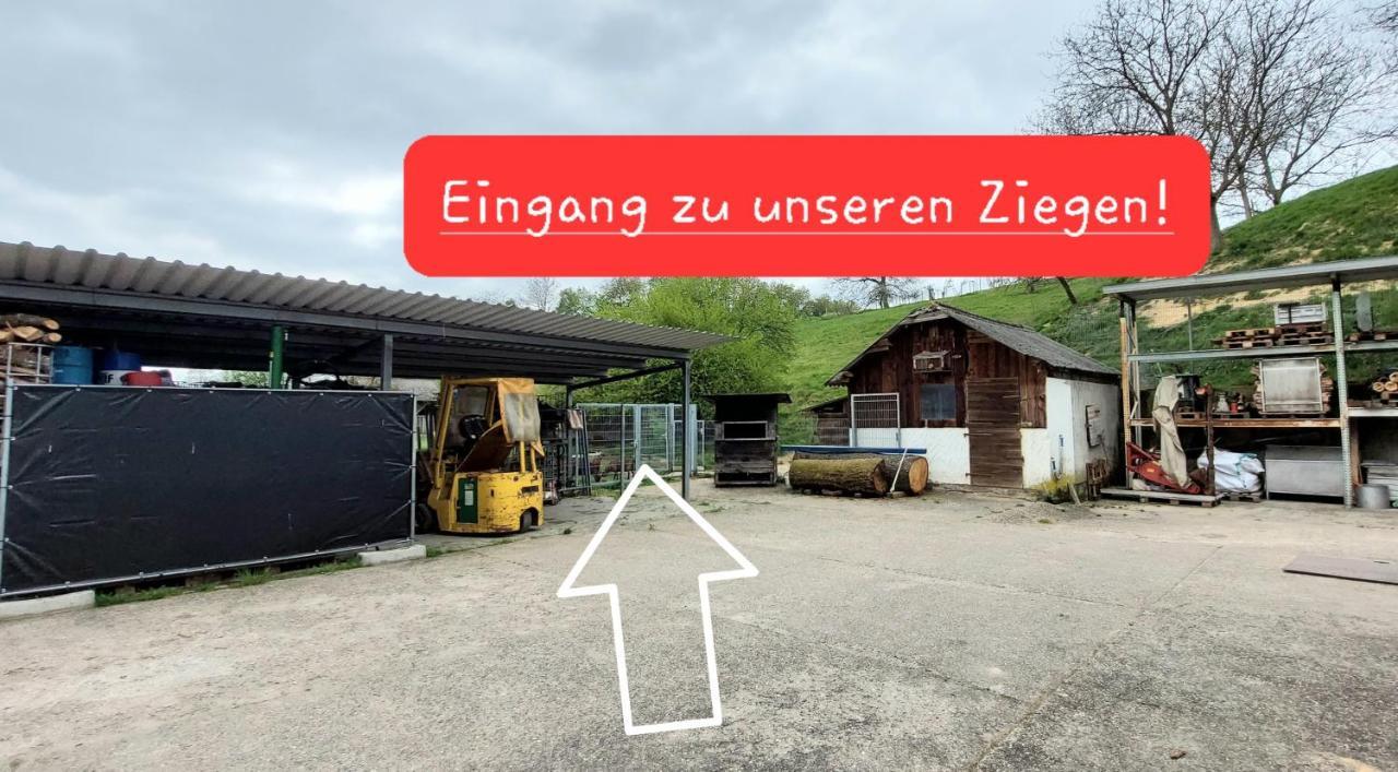 Ferienwohnung/Monteurzimmer Auf Dem Bauernhof Mörlenbach Dış mekan fotoğraf