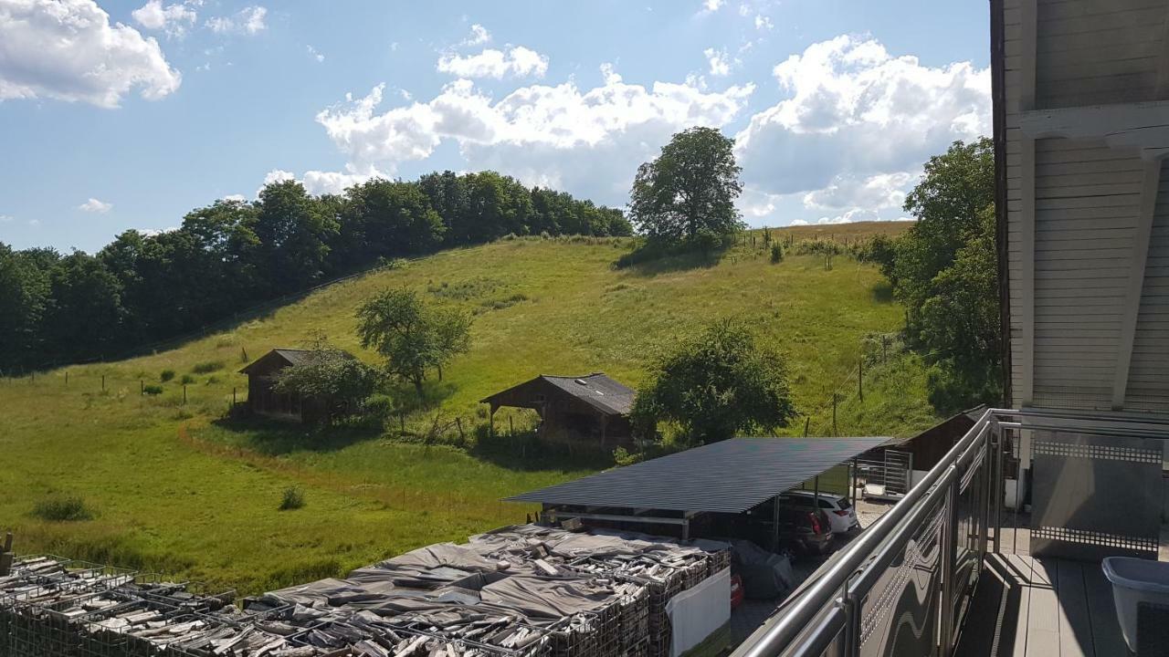 Ferienwohnung/Monteurzimmer Auf Dem Bauernhof Mörlenbach Dış mekan fotoğraf